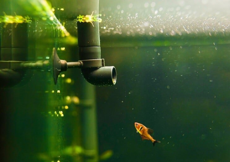 Fish Tank Equipment
