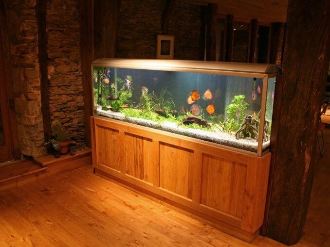 How to Build a Fish Tank - A Step By Step Guide | Fishkeeping World