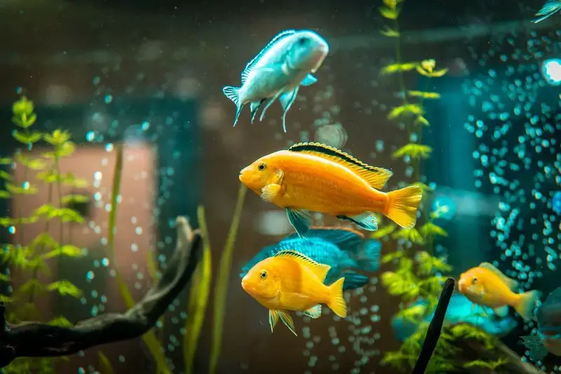 Comment prévenir un nouveau syndrome de réservoir