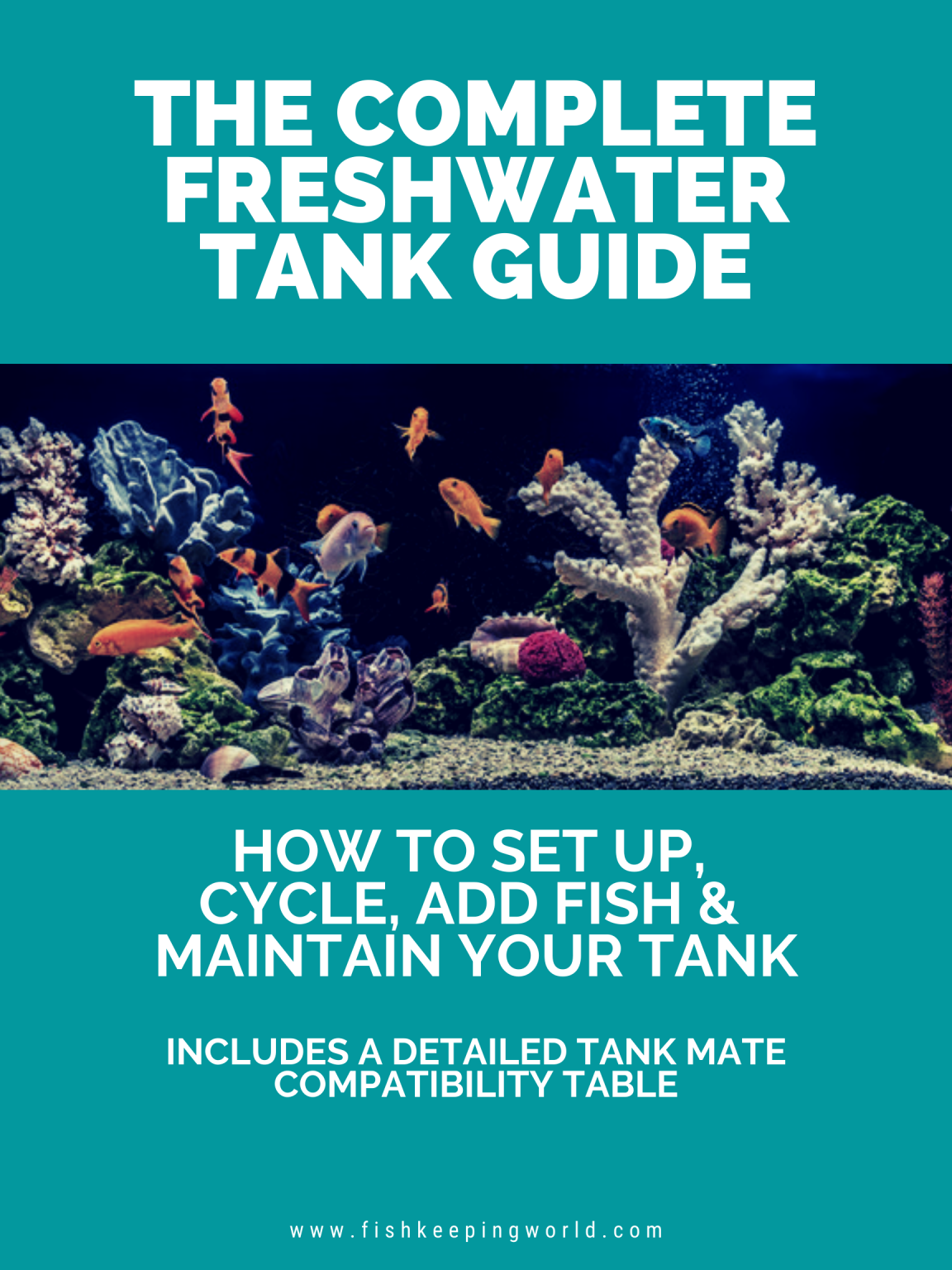 The Complete eGuide to Freshwater Tank Guide Fishkeeping World