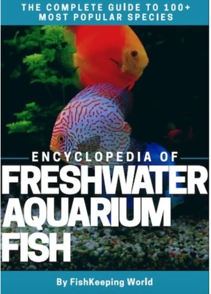 Freshwater Aquarium Fish Encyclopedia