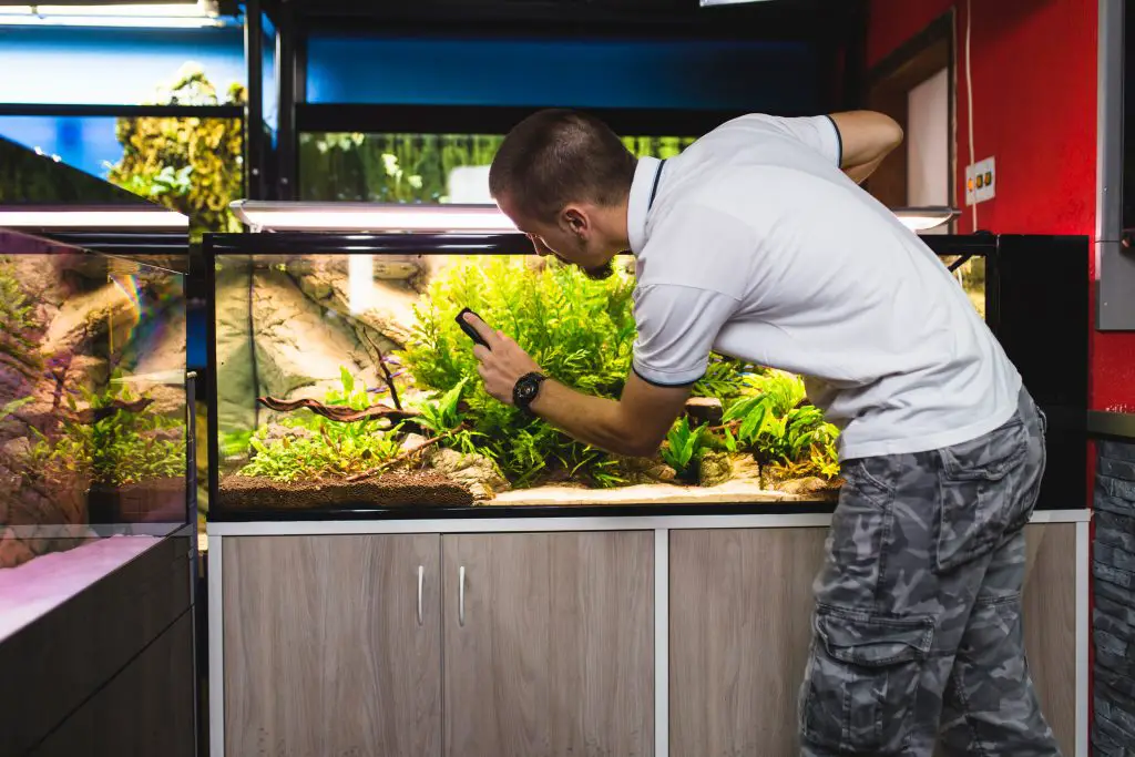 How to Build a Fish Tank