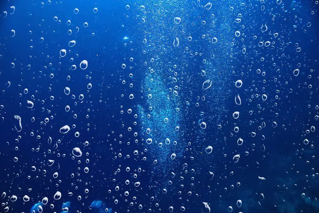 Comment faire du vélo un aquarium?