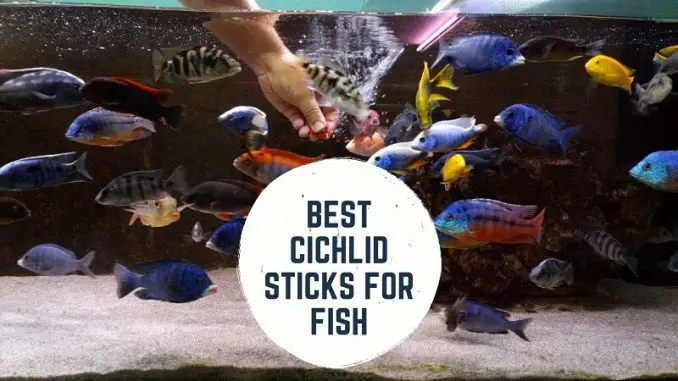 best cichlid sticks for fish