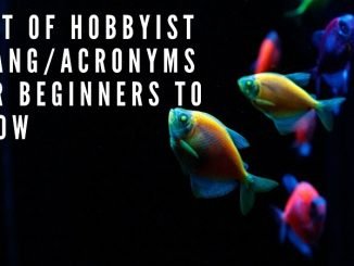 list of hobbyist slang_acronyms for beginners to know