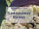 lawnmower blenny