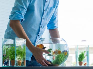 11 Incredible “Do-It-Yourself” Decoration Ideas For Your Personal Aquarium