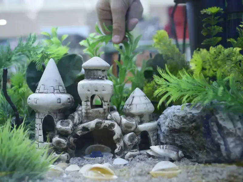 Décor d'aquarium