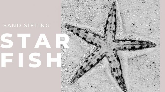 Sand Sifting Starfish