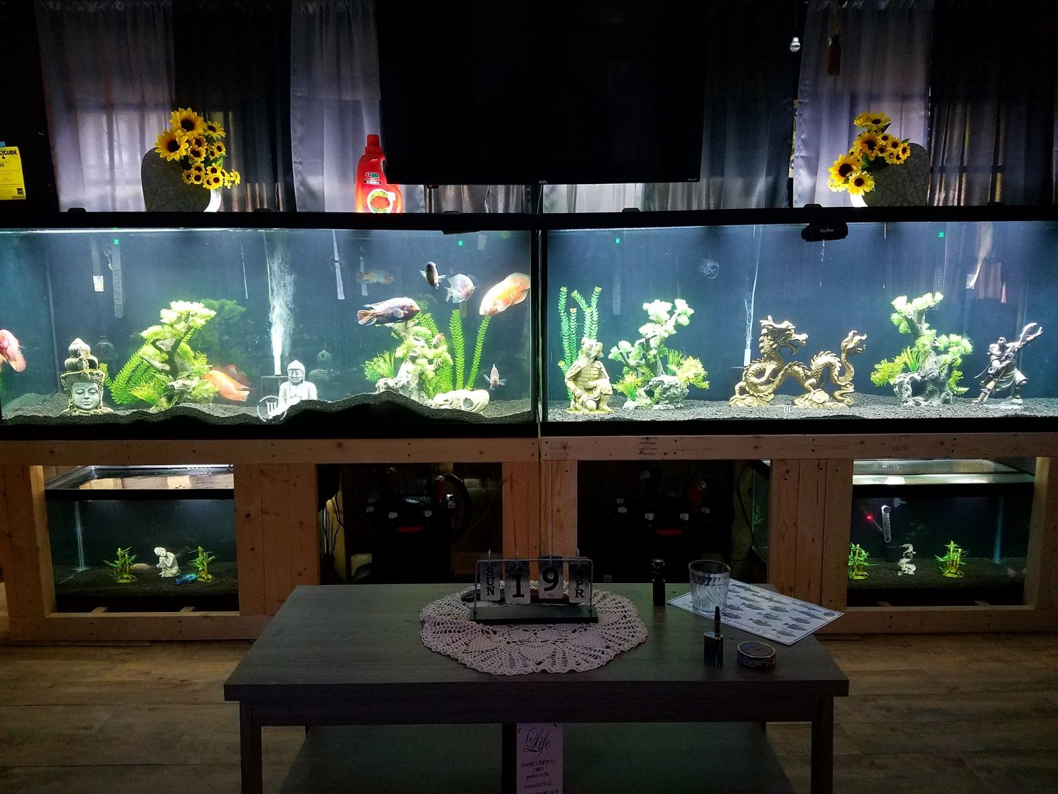 Breeder Tanks 210 Gallon & 40 Gallon Fishkeeping World