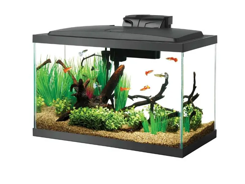 fish tank equipment